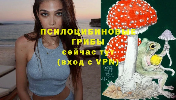 не бодяженный Армянск