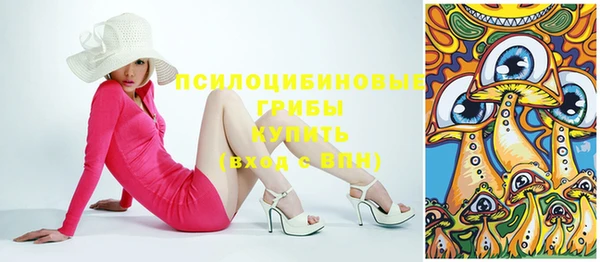 эйфоретик Аркадак