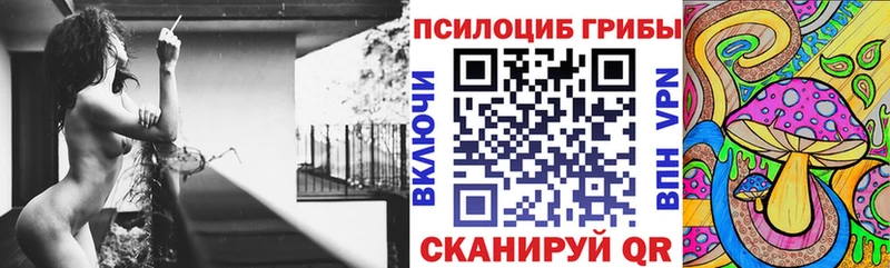 Псилоцибиновые грибы Psilocybe  купить наркотик  Лахденпохья 